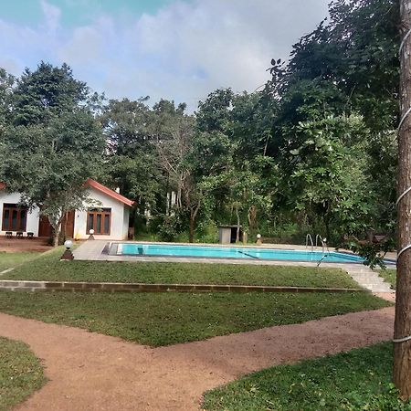 Lion King Jungle Cabanas Sigiriya Ngoại thất bức ảnh