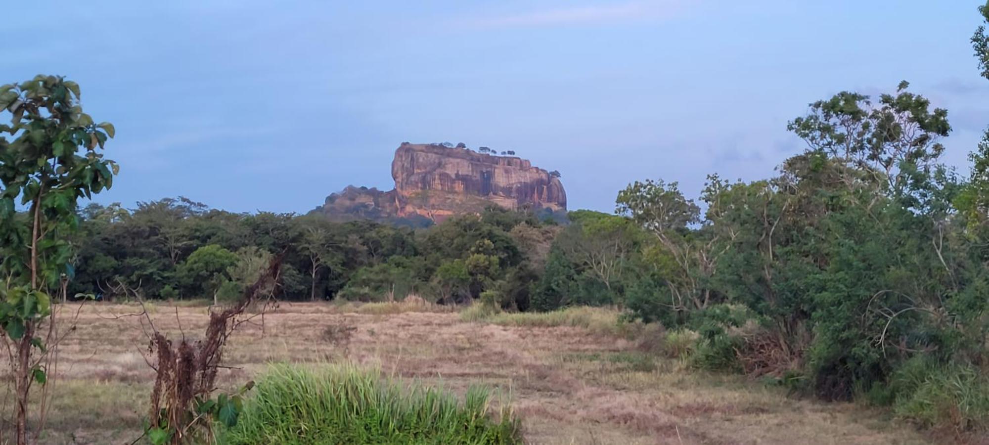 Lion King Jungle Cabanas Sigiriya Ngoại thất bức ảnh