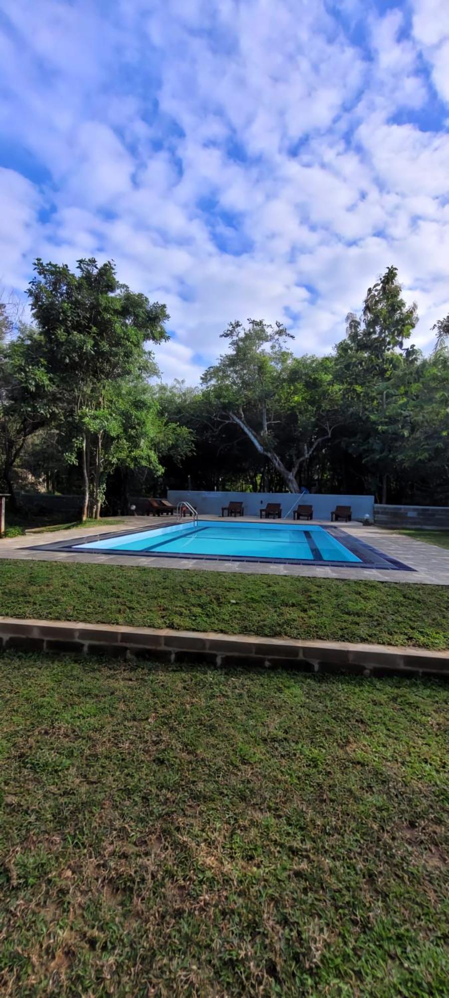 Lion King Jungle Cabanas Sigiriya Ngoại thất bức ảnh