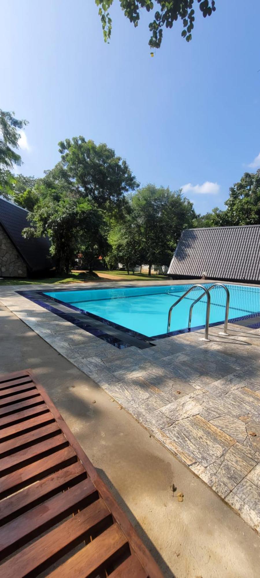 Lion King Jungle Cabanas Sigiriya Ngoại thất bức ảnh