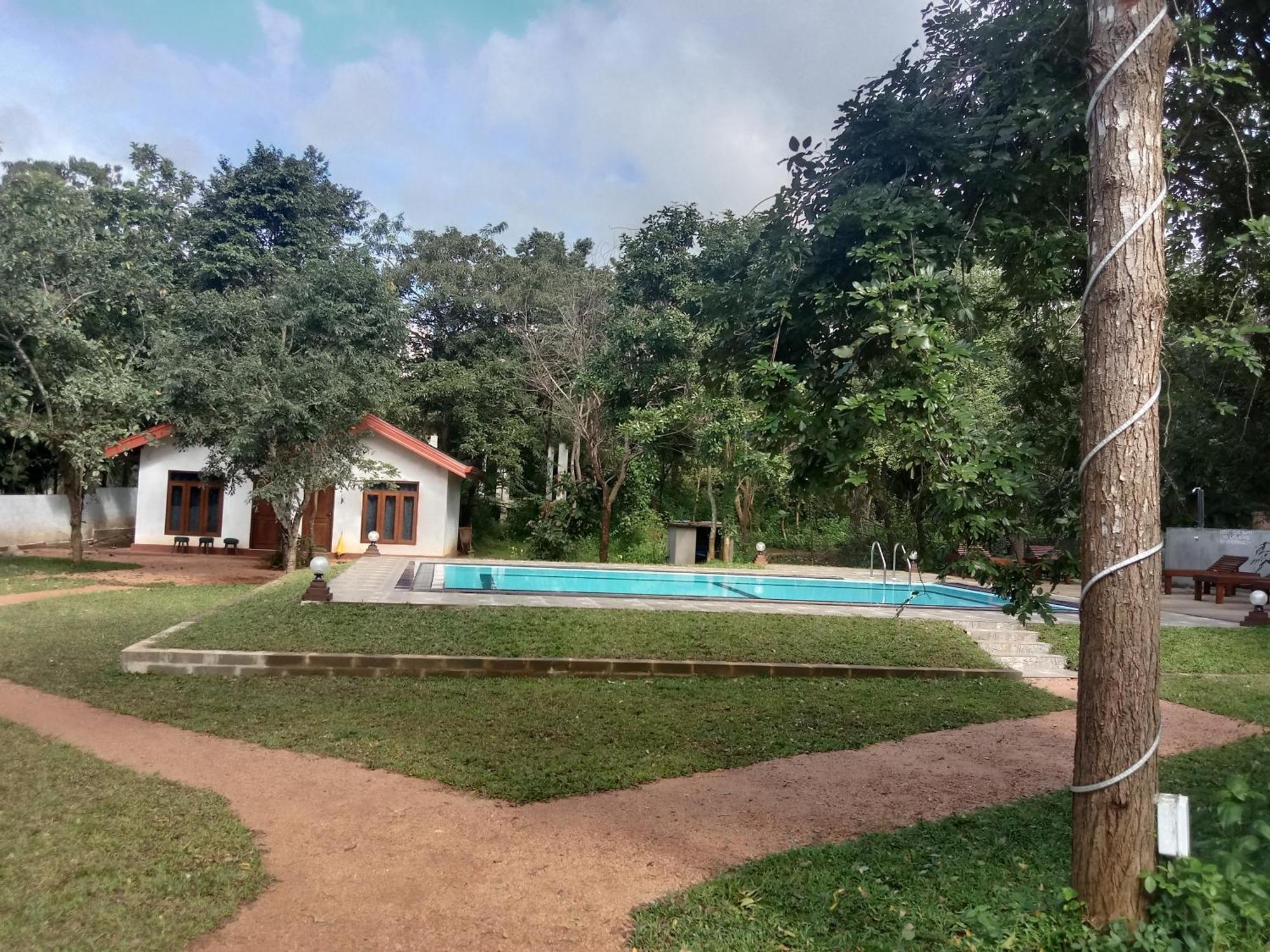 Lion King Jungle Cabanas Sigiriya Ngoại thất bức ảnh