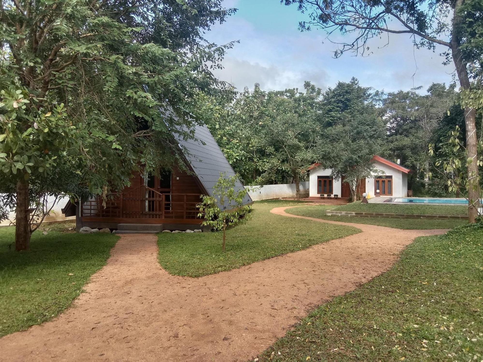 Lion King Jungle Cabanas Sigiriya Ngoại thất bức ảnh